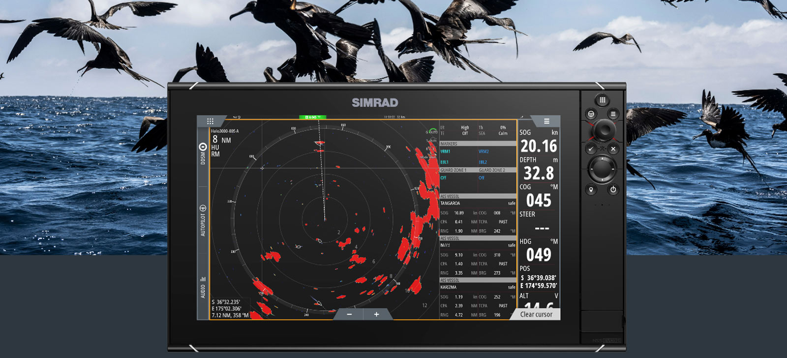 bird-mode-new-web-2.jpg